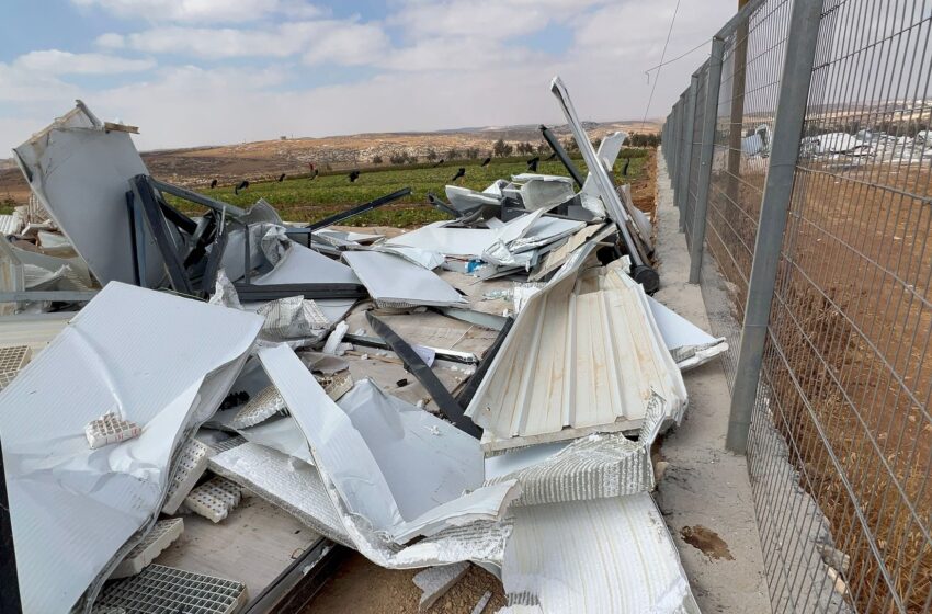  بنك البذور الفلسطينية الاصيلة في مرمى النيران