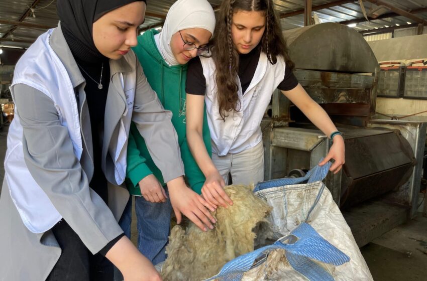 “إيكو روك”.. حكاية ابتكار شبابي مستدام