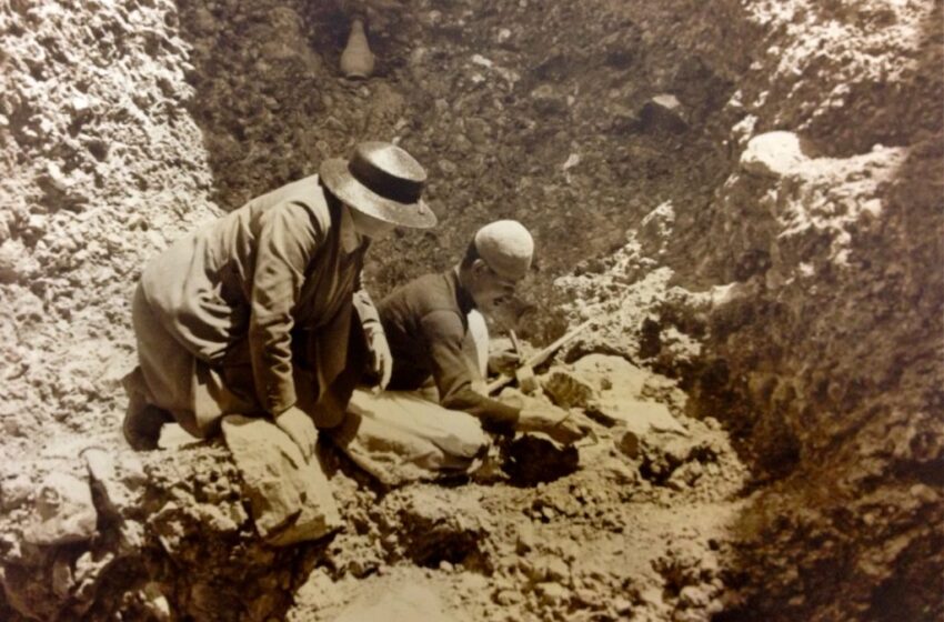  عندما عاشت الفيلة في فلسطين.. اليكم هذه اللحظة التاريخية!