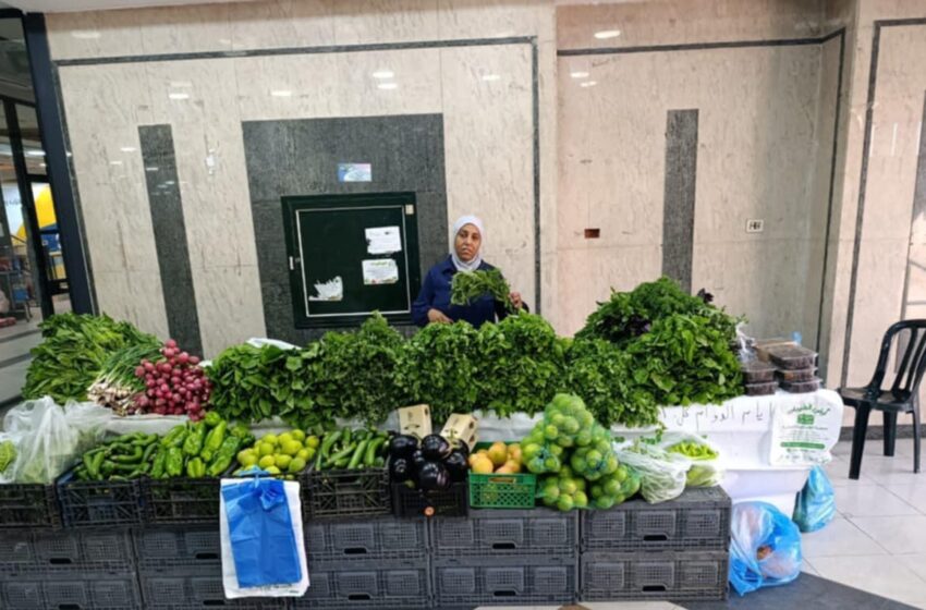        زراعة صديقة للبيئة في فلسطين